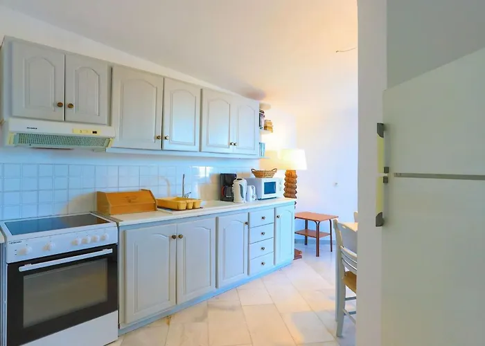 Sterna Gaios